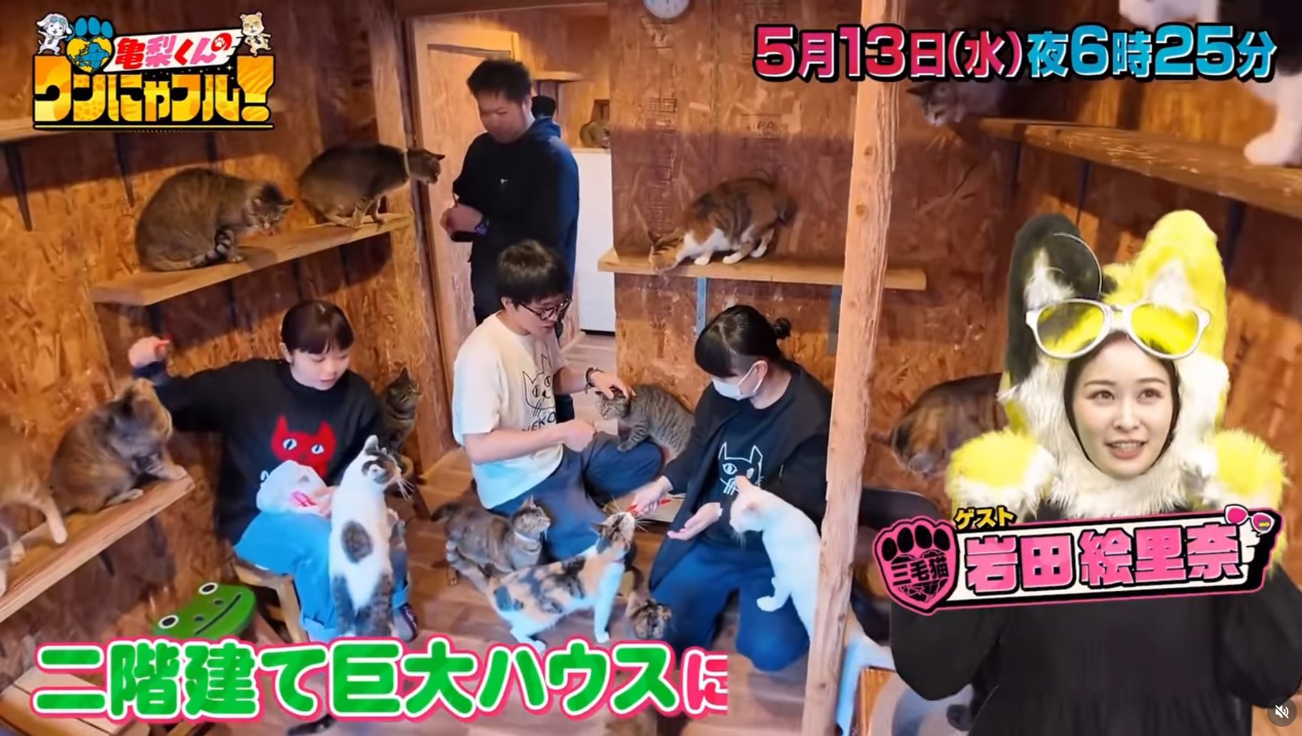 亀梨くんのワンにゃフル！ 5月13日(水) よる6時25分